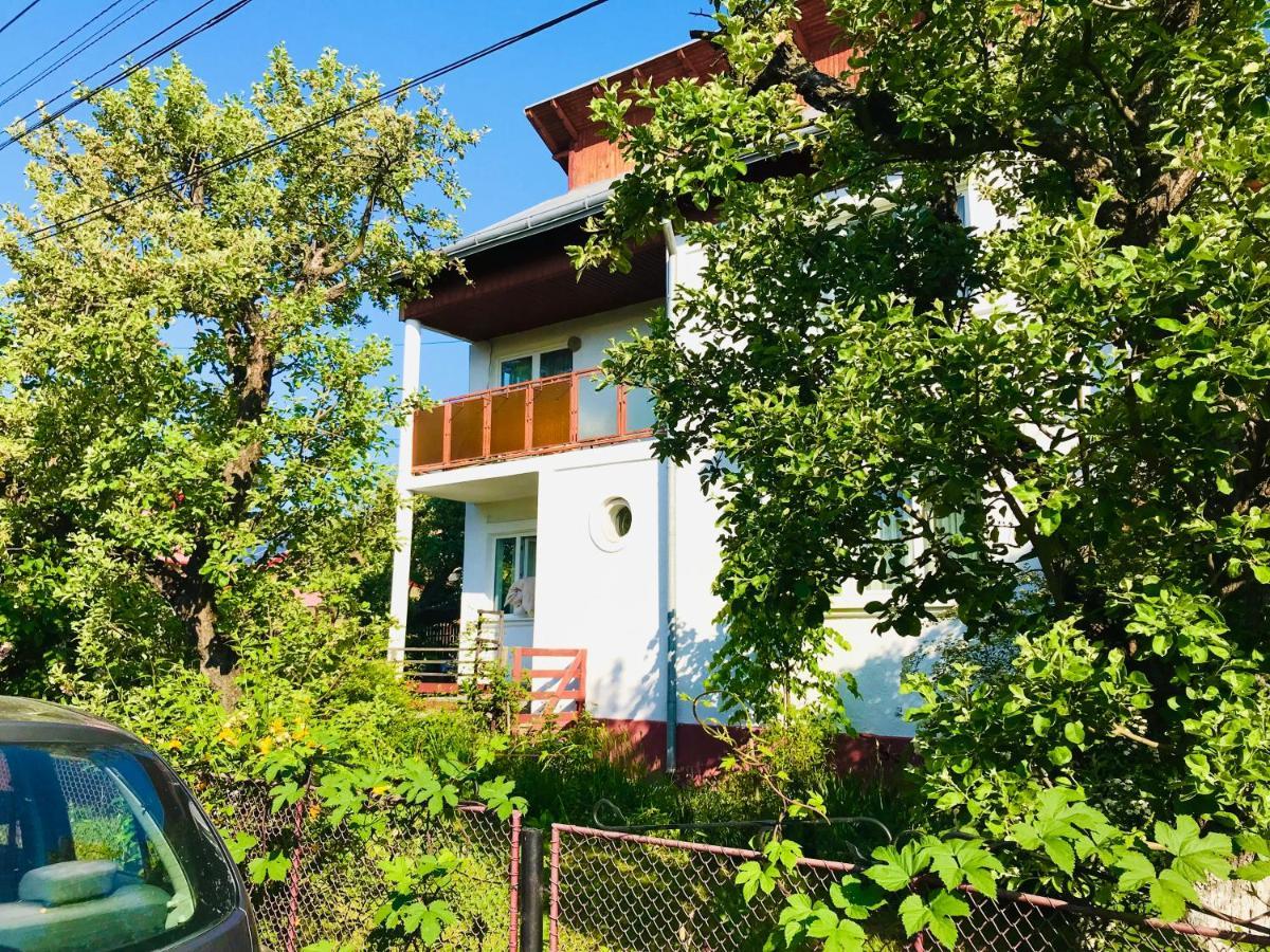 Apartament Vica Гура-Гуморулуй Экстерьер фото